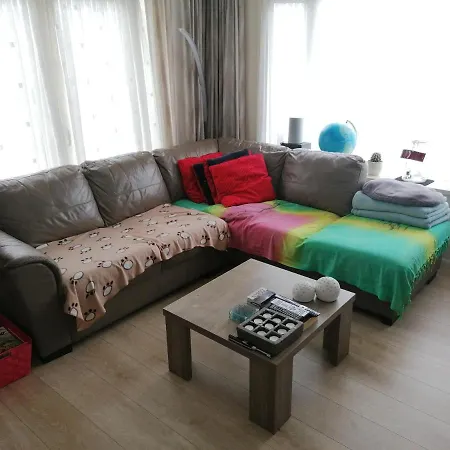 Cosy Chalet At The Sea For Family Holiday For 4 Guests (adults Only)